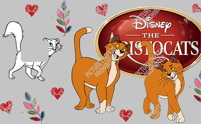 Bank  Card Sticker-BC-1347